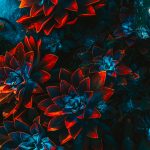 Dream Art Gallery freelance artist floral 4 150x150.jpg